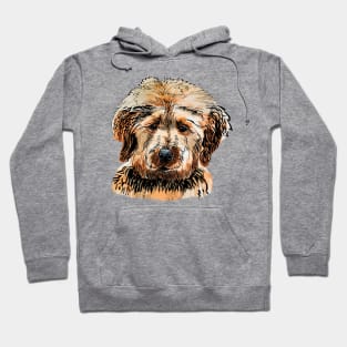 labradoodle portrait Hoodie